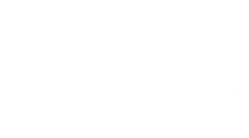 Podzilla Studios