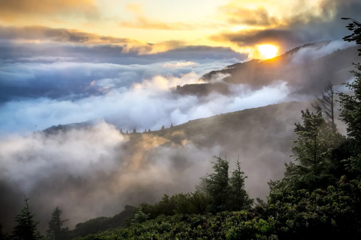 How Digital Asset Management helps remote work?