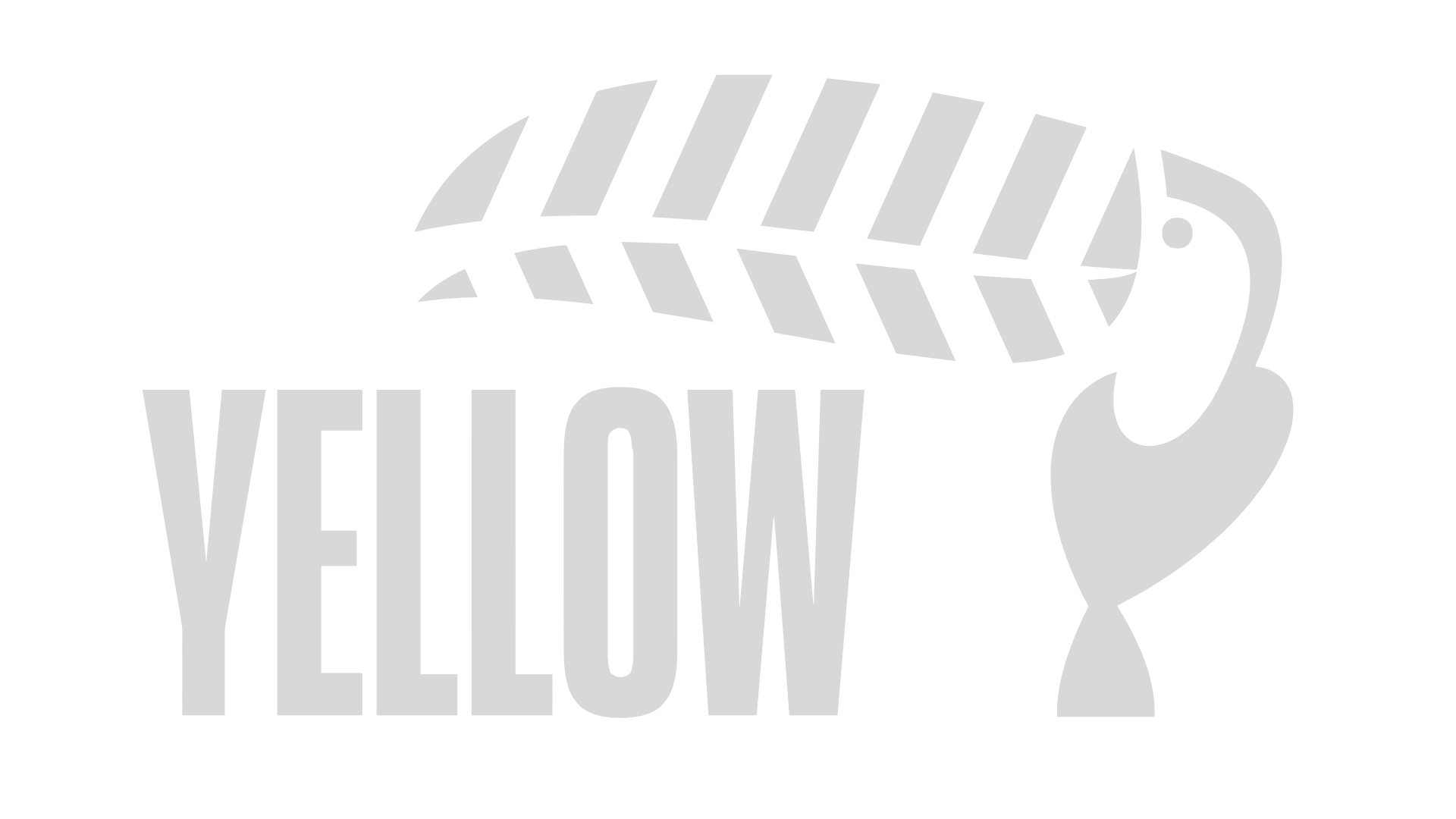 Yellow Film & TV